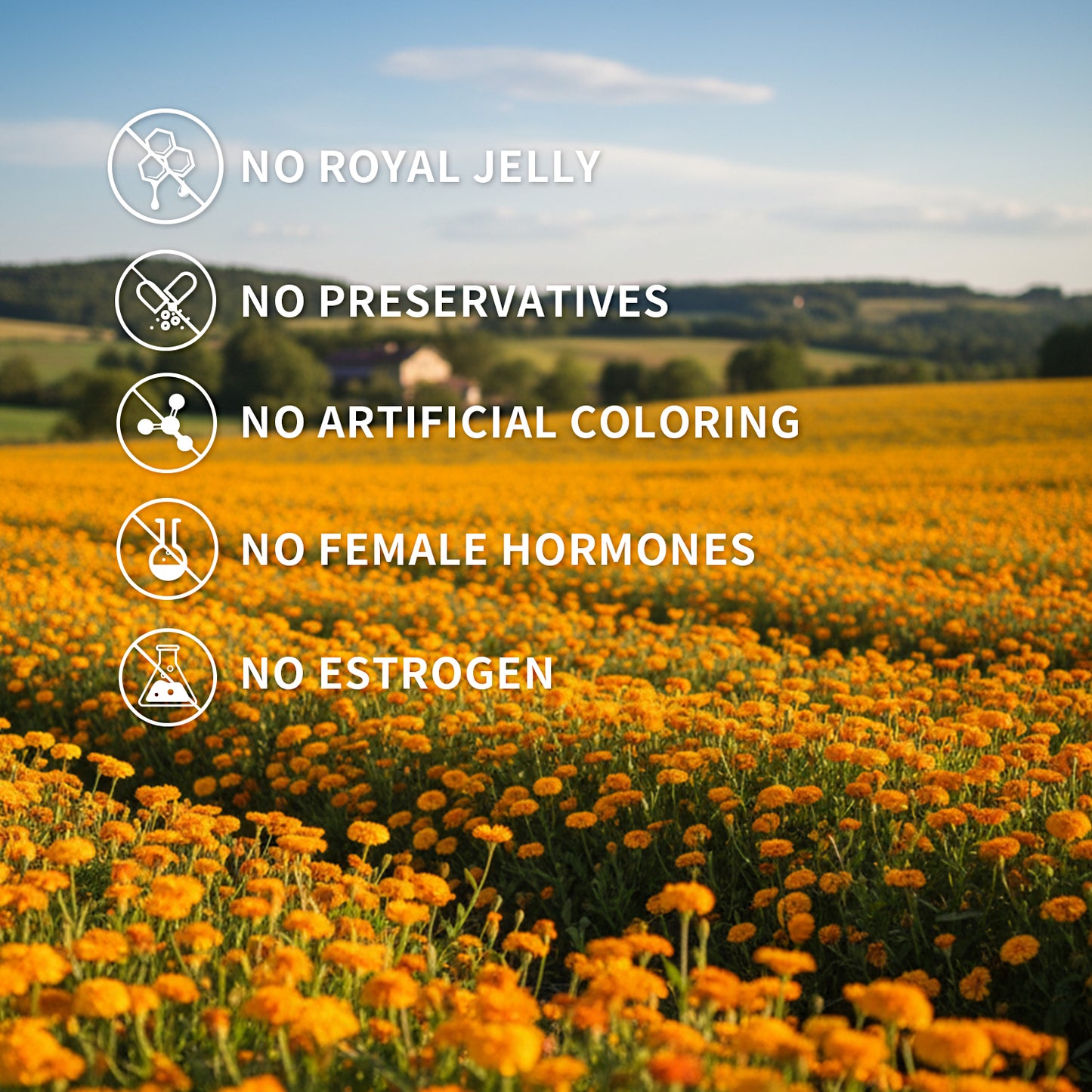 【ALLRE】8K Crystal Vision Lutein (2g/stick pack ; 30 stick packs/box)