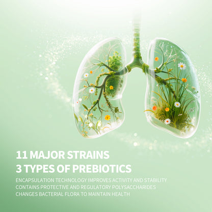 【ALLRE】Clear Airways Lungwort Probiotics（60G/can）