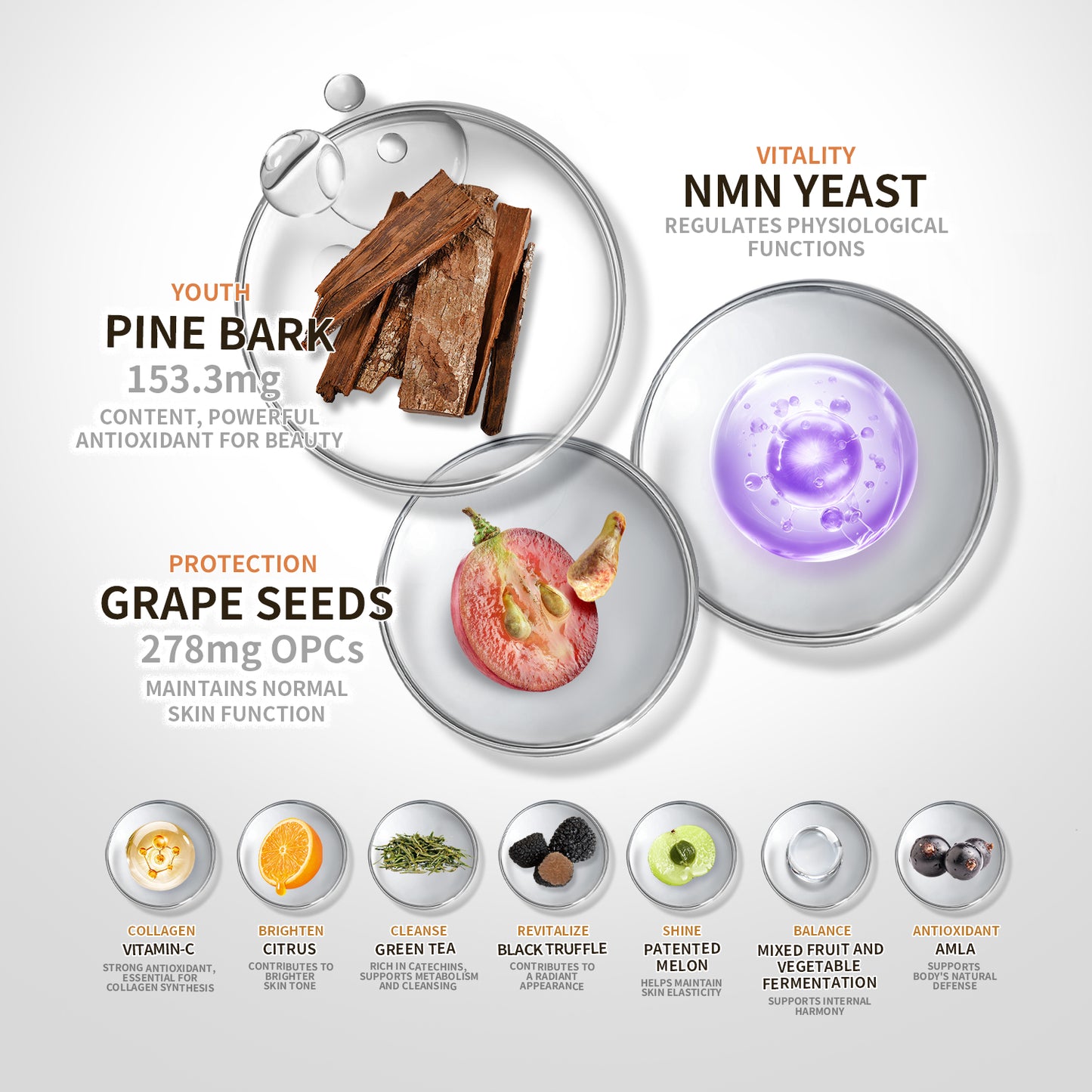 【ALLRE】French Pine Bark Time Capsule-7 days packs