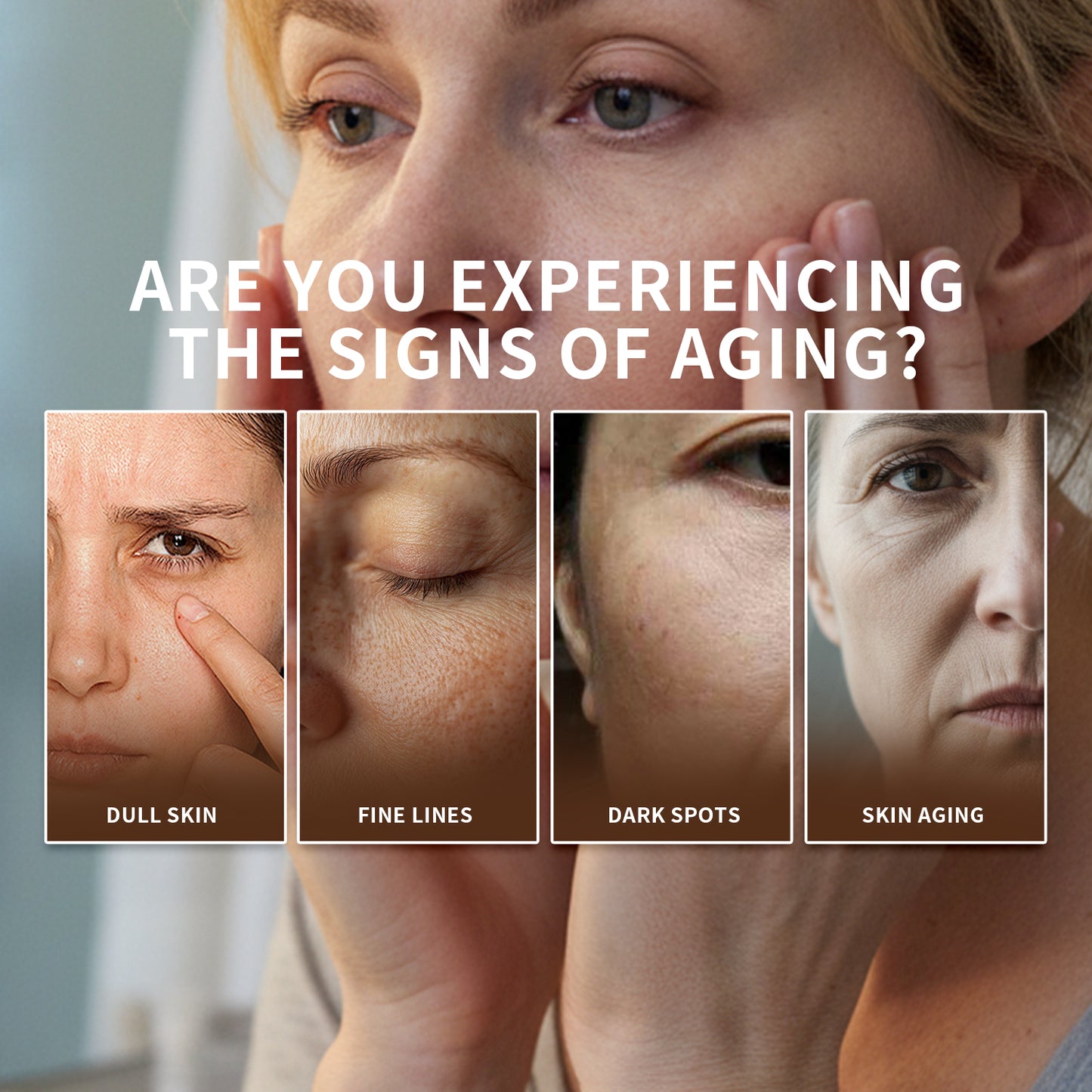 【ALLRE】French Pine Bark Time Capsule-7 days packs